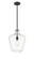 Norwalk One Light Mini Pendant in Matte Black (405|493-1S-BK-G502-12)