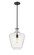 Norwalk One Light Mini Pendant in Matte Black (405|493-1S-BK-G504-12)