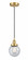 Edison One Light Mini Pendant in Satin Gold (405|616-1PH-SG-G204-6)