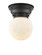 Franklin Restoration One Light Flush Mount in Matte Black (405|623-1F-BK-G201-6)