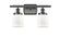 Ballston Urban Two Light Bath Vanity in Oil Rubbed Bronze (405|916-2W-OB-G51)
