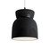 Radiance LED Pendant in Gloss Black (102|CER-6515-BLK-DBRZ-WTCD-LED1-700)