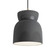 Radiance LED Pendant in Gloss Grey (102|CER-6515-GRY-ABRS-BKCD-LED1-700)