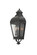 Winchester Outdoor Two Light Wall Pocket in Aged Iron (33|403320AI)