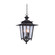 Saddlebrook Outdoor Three Light Hanging Lantern in Aged Iron (33|404150AI)