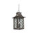 Monterey Outdoor Three Light Hanging Lantern in Aged Bronze (33|404250AGB)
