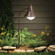 Seaside One Light Path & Spread in Olde Bronze (12|15239OZ)