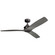 Ried 56''Ceiling Fan in Anvil Iron (12|300356AVI)