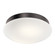 Ried LED Fan Light Kit in Anvil Iron (12|380356AVI)