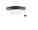 Accessory LED Fan Light Kit in Weathered Copper Powder Coat (12|380912WCP)