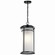 Toman One Light Outdoor Pendant in Black (12|49689BK)