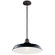 Pier One Light Outdoor Pendant/Semi Flush in Black (12|49993BK)