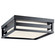 Ryler LED Outdoor Ceiling Mount in Black (12|59037BKLED)