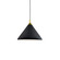 Dorothy One Light Pendant in Black With Gold Detail (347|492814-BK/GD)