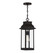 Drexel One Light Outdoor Hanging Lantern in English Bronze (159|V6-L5-2937-13)