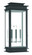Princeton Three Light Outdoor Wall Lantern in Black w/ Polished Chrome Stainless Steel (107|20208-04)