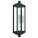 Nyack Two Light Outdoor Wall Lantern in Black w/ Brushed Nickel Cluster and Polished Chrome Stainless Steel (107|20583-04)