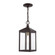 Nyack One Light Outdoor Pendant in Bronze w/ Antique Brass Cluster (107|20591-07)