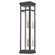 Hopewell Two Light Outdoor Wall Lantern in Bronze w/ Antique Brass Cluster and Polished Chrome Stainless Steel (107|20706-07)