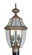 Monterey Two Light Outdoor Post Lantern in Bronze (107|2254-07)