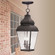 Exeter Three Light Outdoor Pendant in Bronze (107|2597-07)