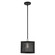 Industro One Light Pendant in Black w/ Brushed Nickels (107|46212-04)