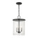Elizabeth Three Light Chandelier in Black w/ Brushed Nickels (107|51060-04)
