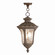 Oxford Three Light Outdoor Pendant in Hand Applied Imperial Bronze (107|7658-58)