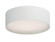 Prime LED Flush Mount (16|10220WL)