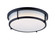 Rogue E26 Two Light Flush Mount in Black (16|10272WTBK)