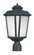 Radcliffe One Light Outdoor Pole/Post Lantern in Black Oxide (16|3340WFBO)