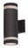 Lightray Two Light Outdoor Wall Lantern in Architectural Bronze (16|6112ABZ)