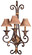 Zaragoza Three Light Wall Sconce in Golden Bronze (29|N2231-355)