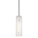 Skye One Light Pendant in Polished Nickel (428|H222701-PN)