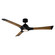Woody 60'' Ceiling Fan in Matte Black/Distressed Koa (441|FR-W1814-60L-MB/DK)