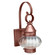 Cageless One Light Wall Mount in Antique Copper (196|2021-AC-MED-OPT)