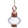 Cageless One Light Hanging Lantern in Antique Copper (196|2042-AC-MED-CLR)