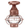 Onion One Light Flush Mount in Antique Copper (196|2514-AC-MED-CSG)