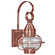 Onion One Light Wall Mount in Antique Copper (196|2521-AC-MED-CSG)