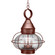 Onion Two Light Hanging Lantern in Antique Copper (196|2572-AC-LT2-CSG)