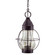 Bosc Two Light Hanging Lantern in Dark Brass (196|2742-DB-LT2-OPT)