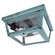 Flush Two Light Flush Mount in Verdi Gris (196|4204-VG-MED2-CLR)