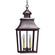 Sharon Two Light Hanging Lantern in Dark Brass (196|5542-DB-LT2-CLR)