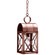 Adams One Light Hanging Lantern in Antique Copper (196|6032-AC-MED-SMG)