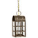 Adams Two Light Hanging Lantern in Dark Antique Brass (196|6142-DAB-LT2-CLR)