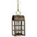 Adams Two Light Hanging Lantern in Dark Antique Brass (196|6142-DAB-LT2-CSG)