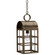 Adams One Light Hanging Lantern in Dark Antique Brass (196|6142-DAB-MED-CLR)