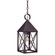York One Light Hanging Lantern in Dark Brass (196|7042-DB-MED-CLR)