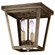 Flush Two Light Flush Mount in Dark Antique Brass (196|7324-DAB-LT2-CSG)