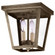 Flush Two Light Flush Mount in Dark Antique Brass (196|7324-DAB-LT2-SMG)